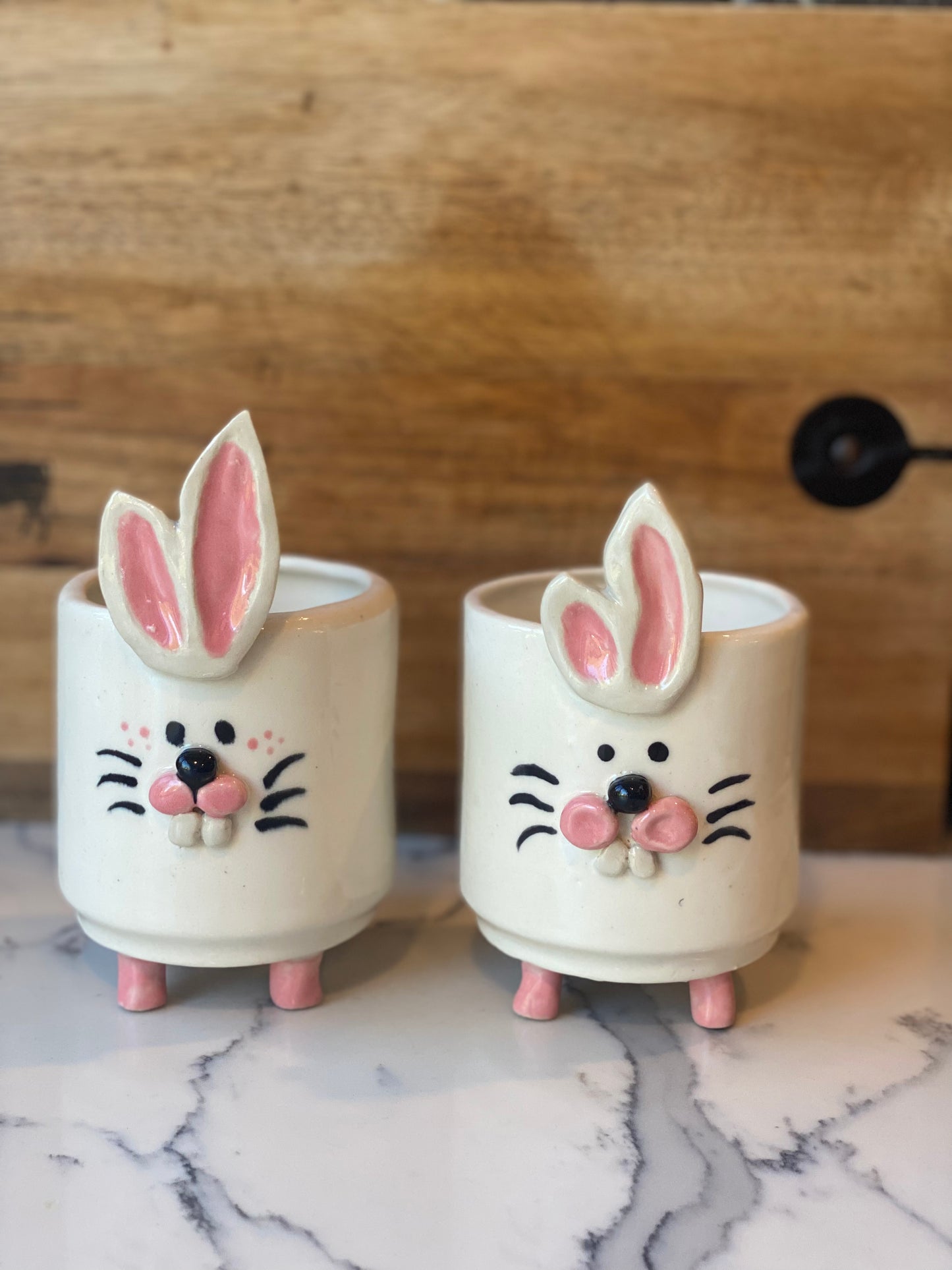 Pottery Bunny Planters