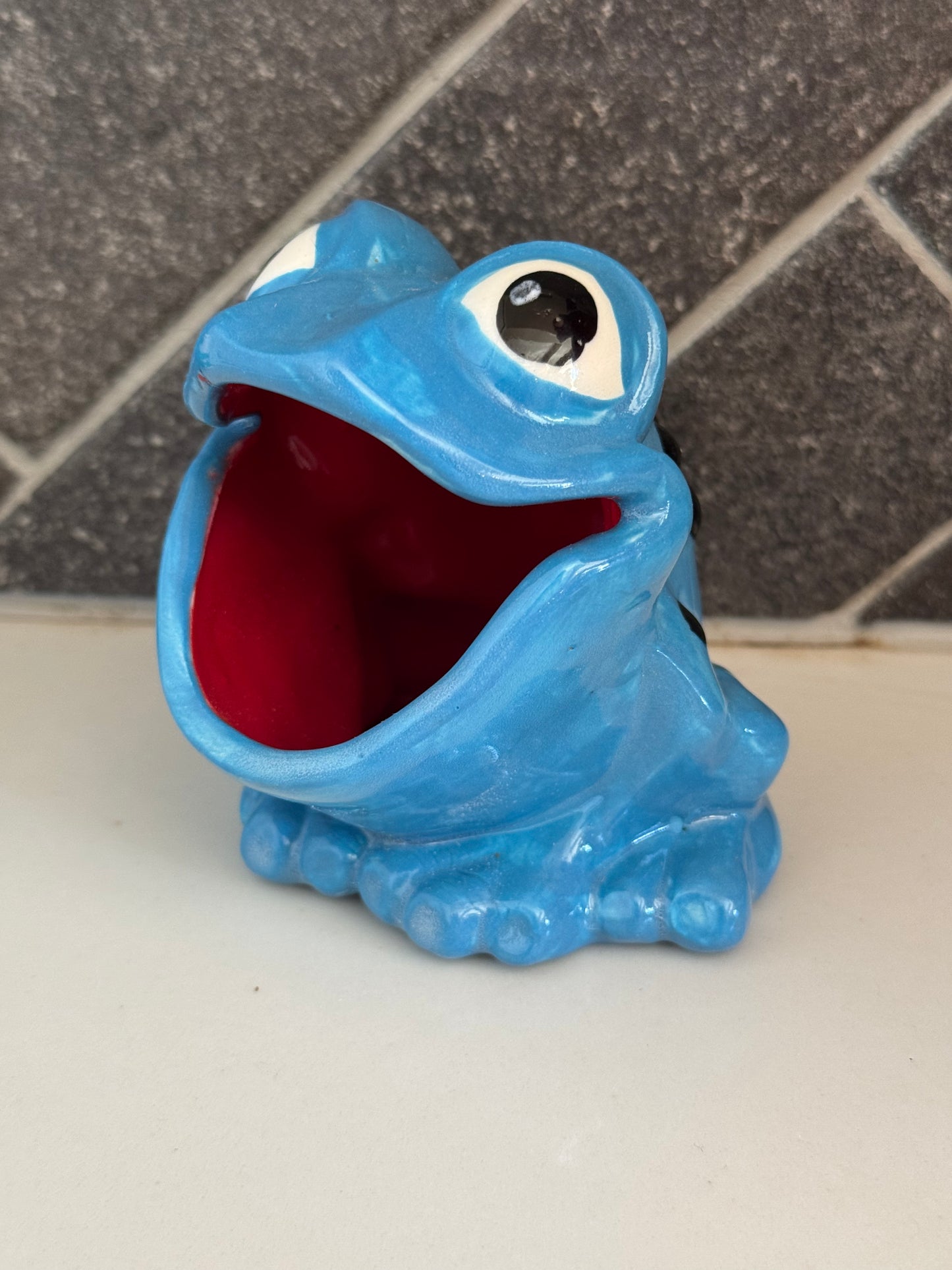 Scrubby Holder - Frog