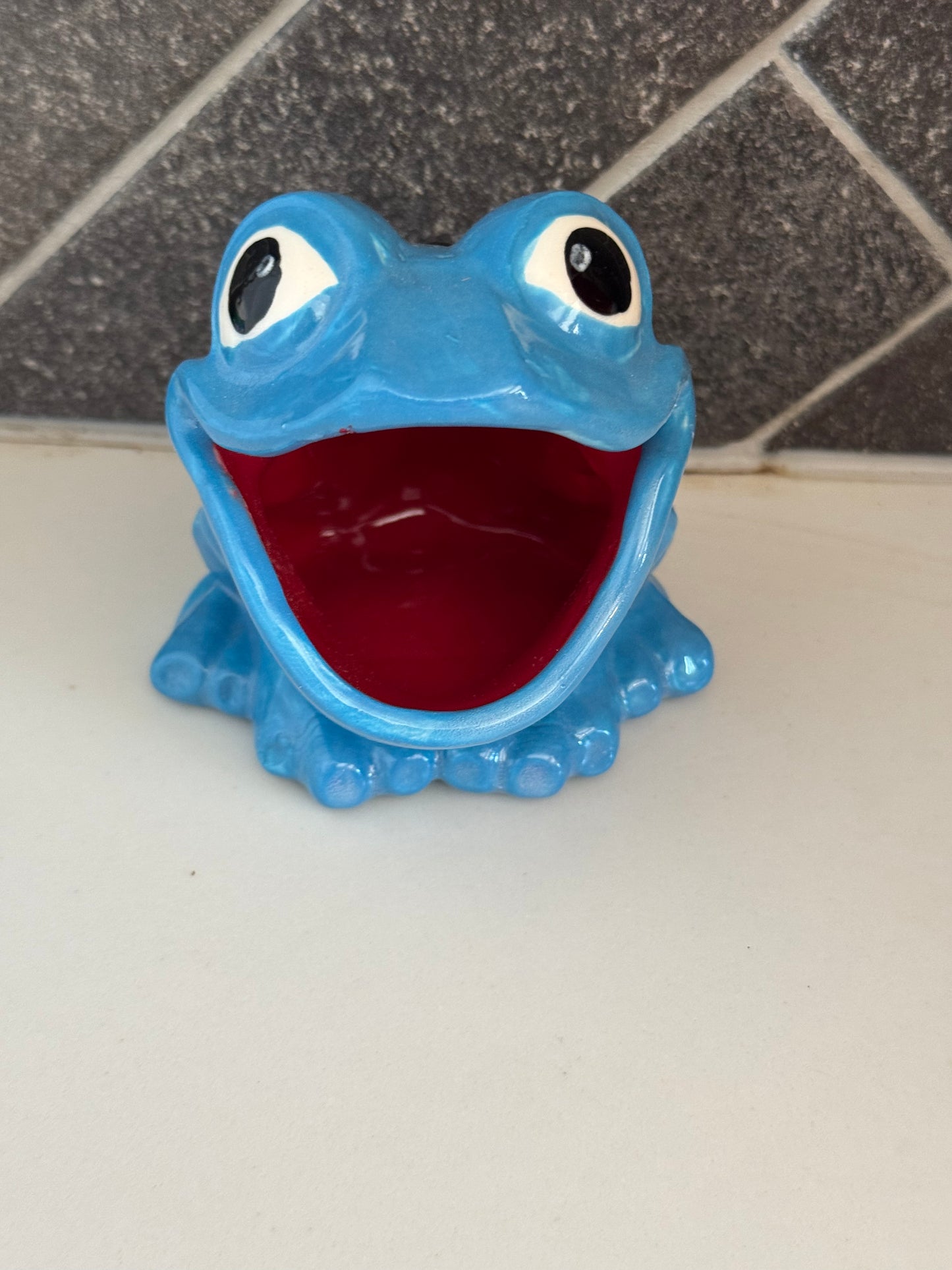 Scrubby Holder - Frog