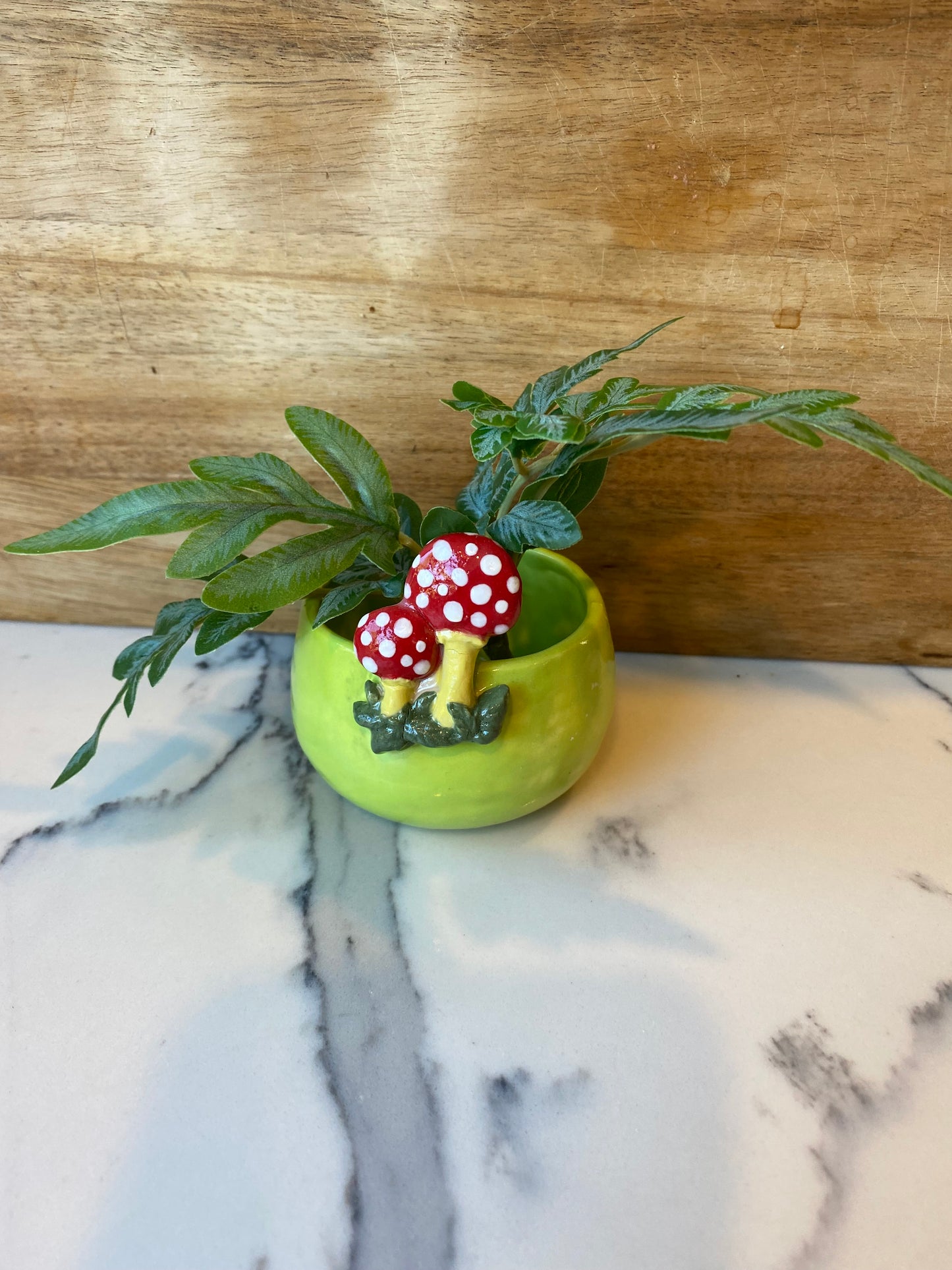 Pottery - Mushroom Planter Pot