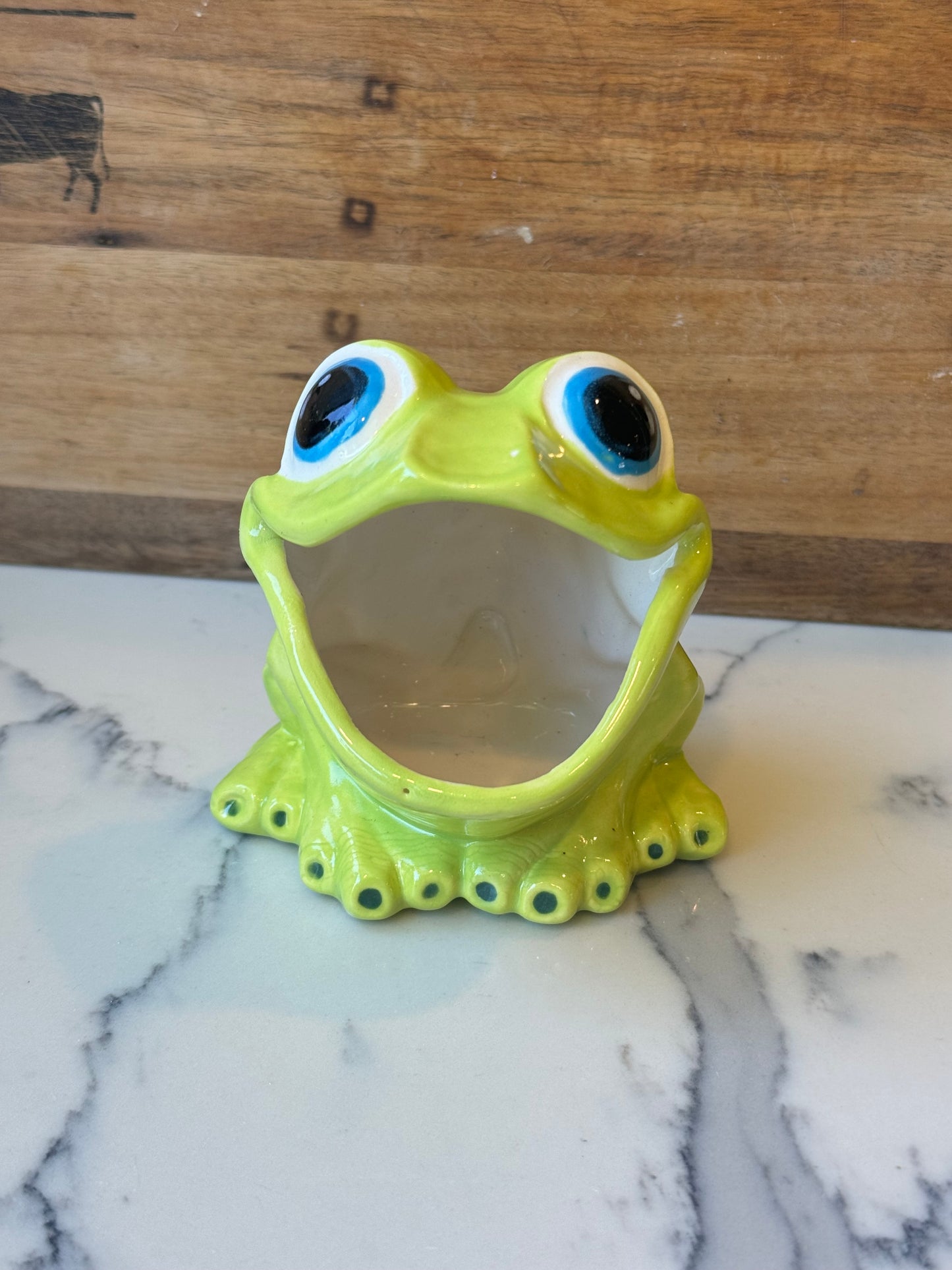 Scrubby Holder - Frog