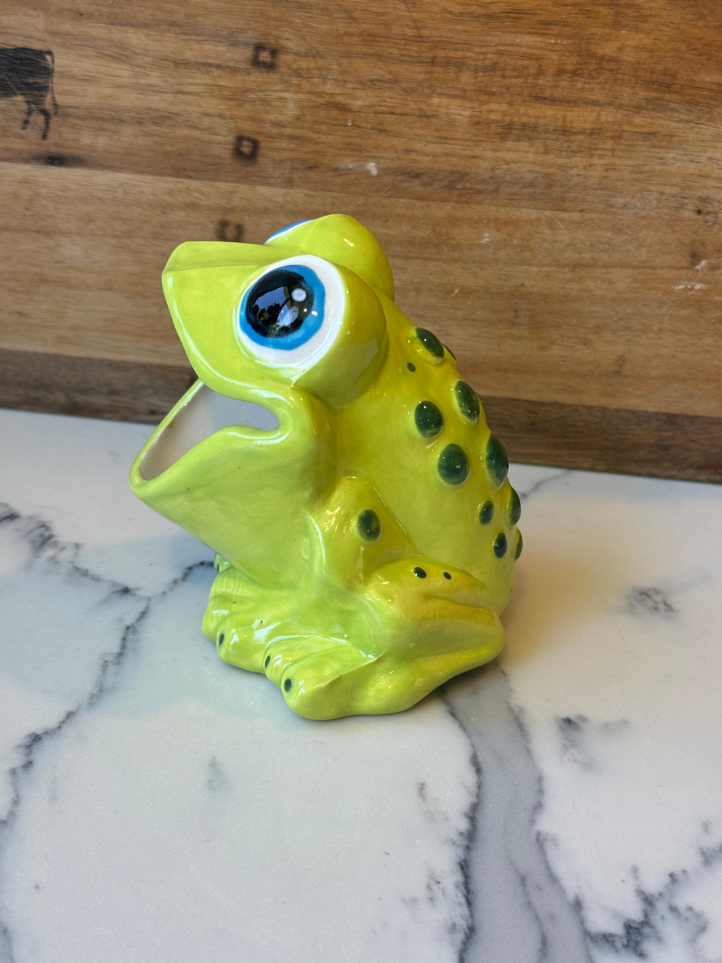 Scrubby Holder - Frog